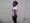 Dharmmie1
