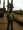sam005
