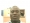 olowi2010