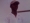 Samslord2000b2k