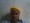 laggar
