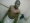 pmusic08