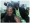 bayo2002