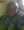 Ifedayo_ahmed