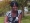 itie