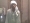 oloriengineer