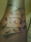Tatoo