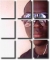 net guy