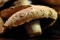 my mushrooms
