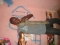 that's myself