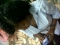 busy meah