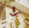 moving ontop