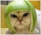 my pet