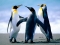 happy feet
