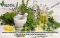 Natural Herbs Clinic