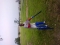 Kiwix playing cricket for the first time