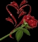enginer