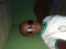 Hafeez