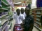 with friends