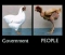 Goverment of the people to the people by the people wat do u think.?