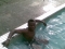 Hot Rico