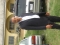 My pics