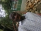 just me