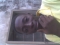 Fine boy
