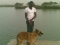 dog walk