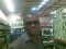 gone for shopping