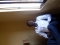 E don Hapen