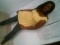 Blackbeauty