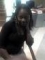 black sexly roemary