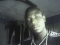 jst cool