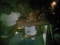 Pary Time