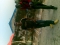 chidon
