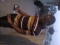 jose el