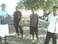 me and my guys after training