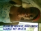 jenny