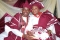 MY WEDDING 30TH AUGUST 2014