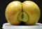 If u want to comment 1st type in the 1st thing that came to ur mind when u saw this