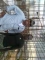@ wrk