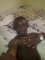 ON MY ELECTRIC BED