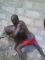See fighting