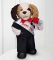 Me Teddy Bear