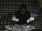 Excess swaggar