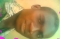 Just Chilin