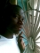 i and i