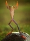 Mr.Froggy : Baba God na da boss