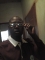 Tunde ilori